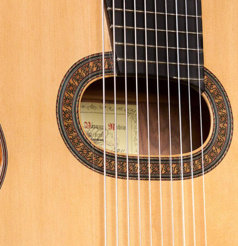 2011 German Vazquez Rubio "Concert 635 10-String" SP/PE
