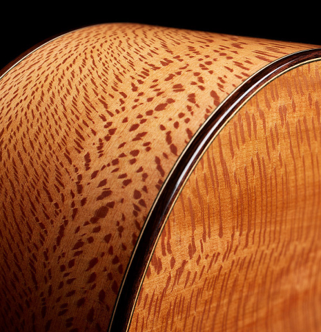 Back, side and binding of a 2024 German Vazquez Rubio "Solista" classical guitar made of spruce and Brazilian lacewood