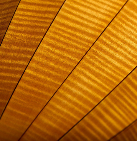 The staved back of a 1981 David Rubio 9-course lute made of spruce and maple