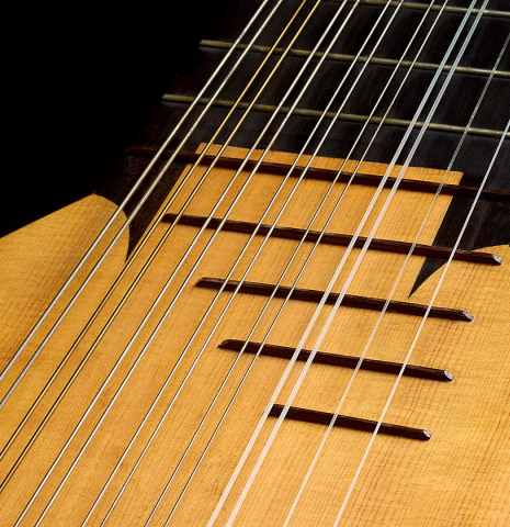 The inlaid frets of a 1981 David Rubio 9-course lute made of spruce and maple