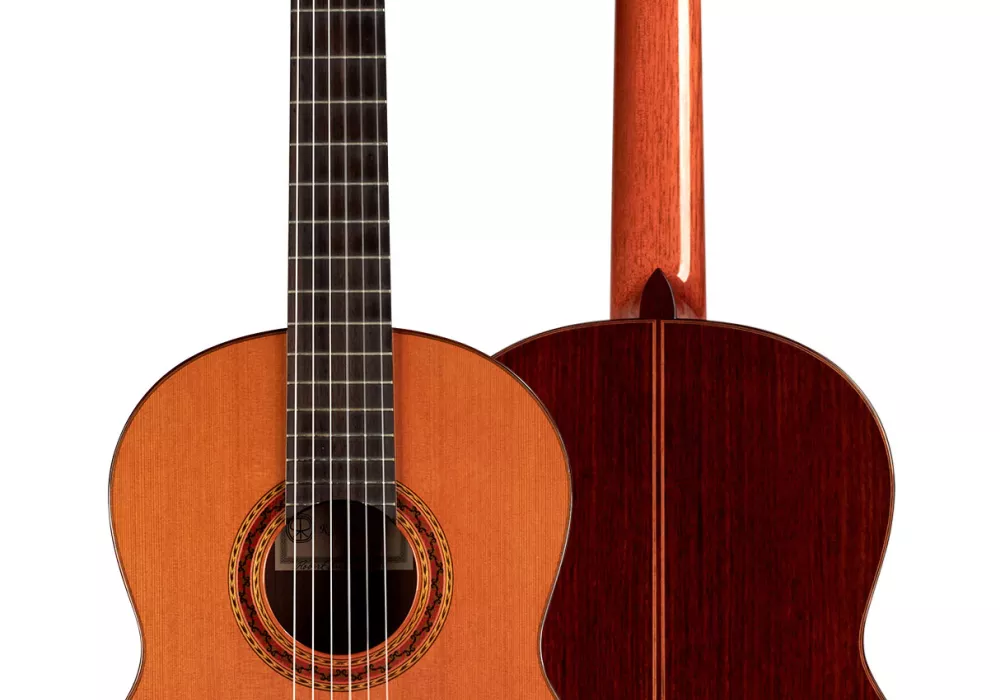 Robert ruck guitar for sale hotsell