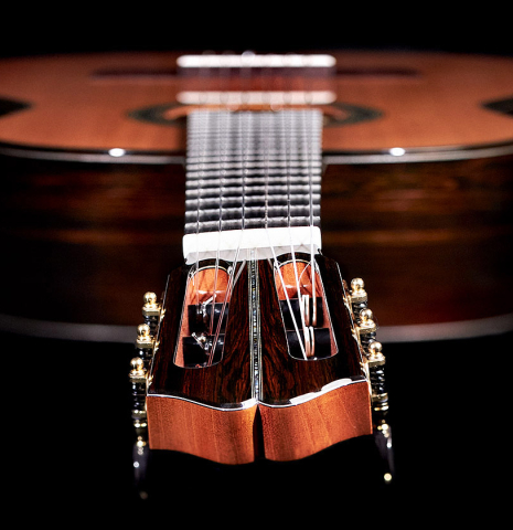 The neck and fretboard of a 2022 Eric Sahlin made of cedar and CSA rosewood