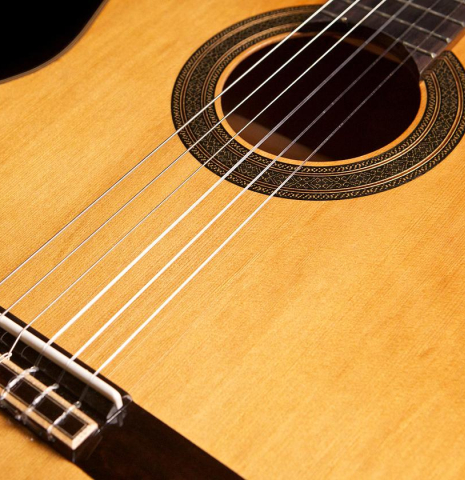 Guitar Salon "Studio Series" CM-100 CD/MH