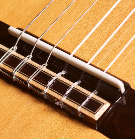 Guitar Salon "Studio Series" CM-100 CD/MH