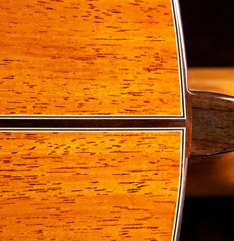 Guitar Salon "Studio Series" CM-100 CD/MH