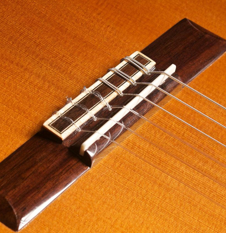 Guitar Salon "Studio Series" CR-100 CD/IN