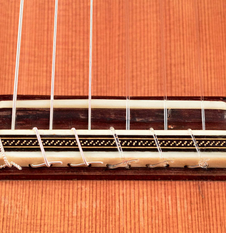 2012 Federico Sheppard "Camino" CD/MH 2012 Federico Sheppard "Camino" CD/MH