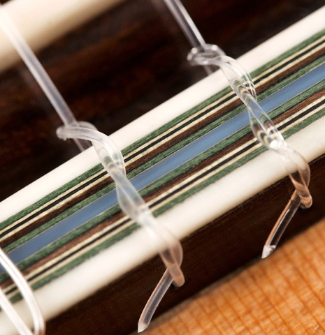 2021 Annette Stephany CD/AR