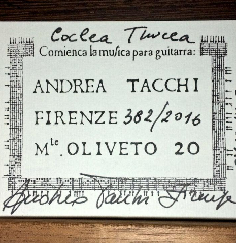 2016 Andrea Tacchi &quot;Coclea Thucea&quot; CS/WE
