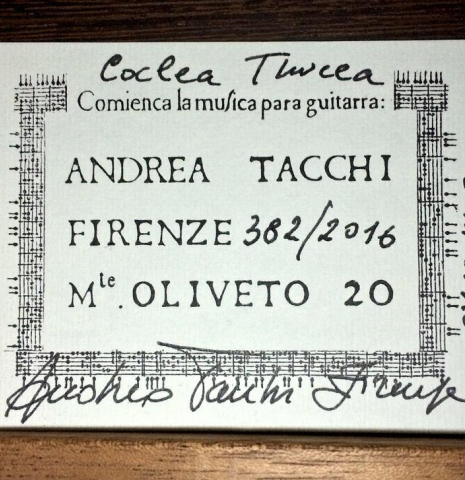 2016 Andrea Tacchi "Coclea Thucea" CS/WE