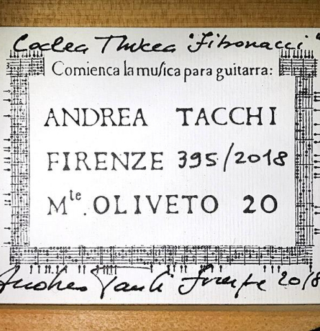 2018 Andrea Tacchi "Coclea Thucea - Fibonacci" CS/WE