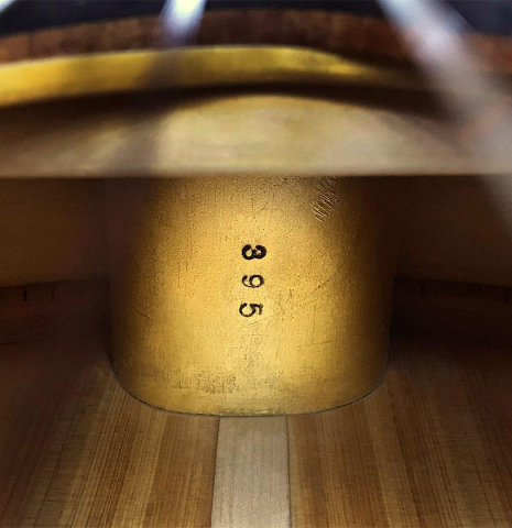 2018 Andrea Tacchi "Coclea Thucea - Fibonacci" CS/WE