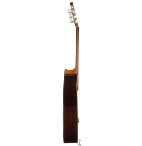 2019 Andrea Tacchi "Coclea Thucea - Riflesso" CS/WE