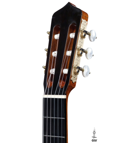 2019 Andrea Tacchi "Coclea Thucea - Riflesso" CS/WE