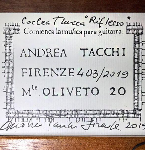2019 Andrea Tacchi &quot;Coclea Thucea - Riflesso&quot; CS/WE