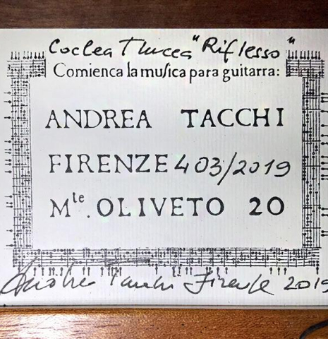 2019 Andrea Tacchi "Coclea Thucea - Riflesso" CS/WE