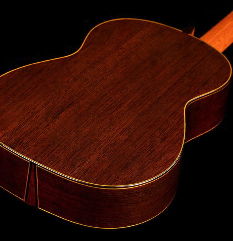 2019 Andrea Tacchi "Coclea Thucea - Riflesso" CS/WE