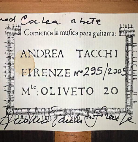 2005 Andrea Tacchi "Coclea Abete" SP/IN