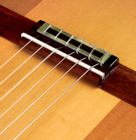 The bridge of a 2007 Andrea Tacchi &quot;Coclea Thucea&quot; made with CSA rosewood back and sides and cedar/spruce soundboard.