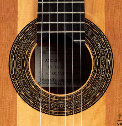 The rosette of a 2007 Andrea Tacchi &quot;Coclea Thucea&quot; made with CSA rosewood back and sides and cedar/spruce soundboard.