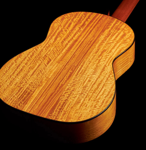 The back of a 2023 Andrea Tacchi "Coclea Thucea - Alter Ego" classical guitar.