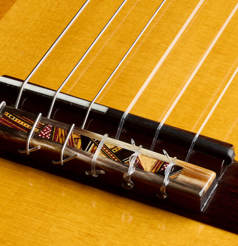 The bridge, tie-block and saddle of a 2025 Andrea Tacchi "Coclea Thucea - Satin" classical guitar made of cedar/spruce and satinwood