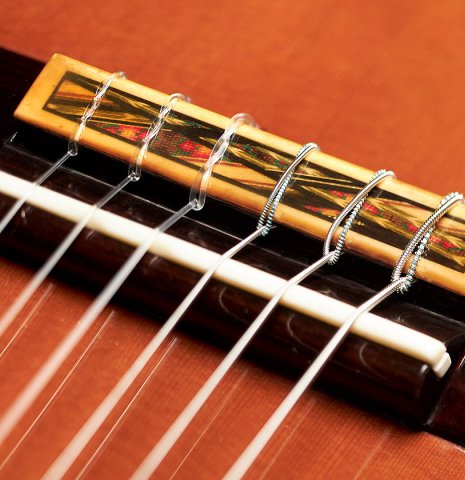 The bridge, tie-block and saddle of a 2020 Giovanni Tacchi classical guitar Friederich model made of cedar and Indian rosewood