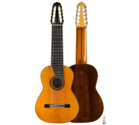 1988 Andrea Tacchi "10-string" SP/CSAR