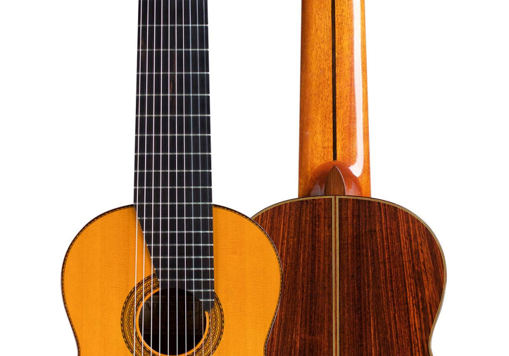 1975 Mitsuru Tamura "10-String" SP/IN