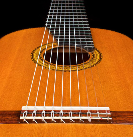 1975 Mitsuru Tamura "10-String" SP/IN