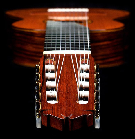 1975 Mitsuru Tamura "10-String" SP/IN