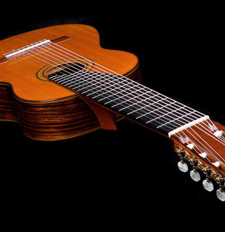 1975 Mitsuru Tamura "10-String" SP/IN