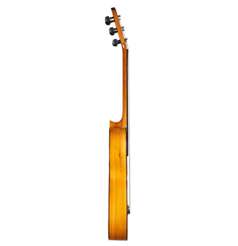 The side of an 1886 Antonio de Torres w/pegs classical guitar made of spruce and cypress