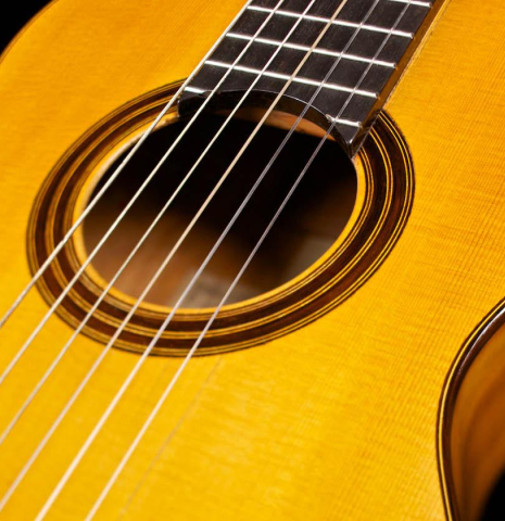 The top, fingerboard and rosette of an 1886 Antonio de Torres w/pegs classical guitar made of spruce and cypress