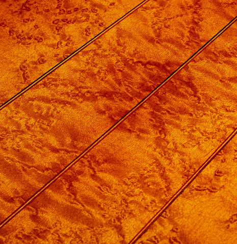 The four-piece back of a 1867 Antonio de Torres classical guitar made of spruce and maple