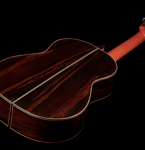 The back of a 2016 Dake Traphagen made with cedar and CSA rosewood featuring traditional pegs.