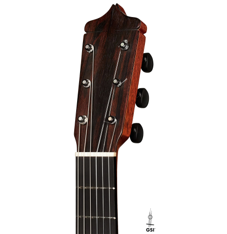 The headstock of a 2016 Dake Traphagen made with cedar and CSA rosewood featuring traditional pegs.
