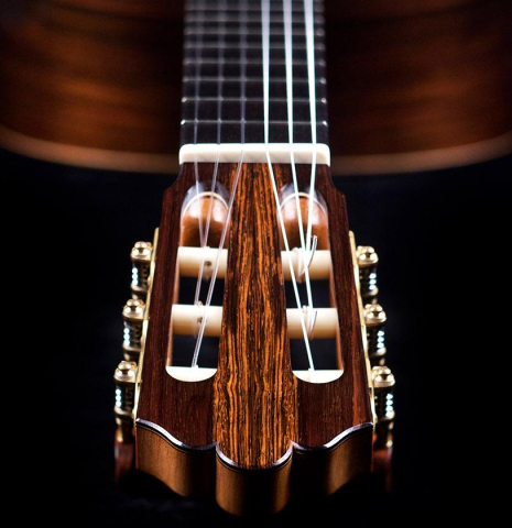 This is a view from the headstock of a Jose Vigil classical guitar built in 2018. It has a spruce soundboard and CSA rosewood back and sides.