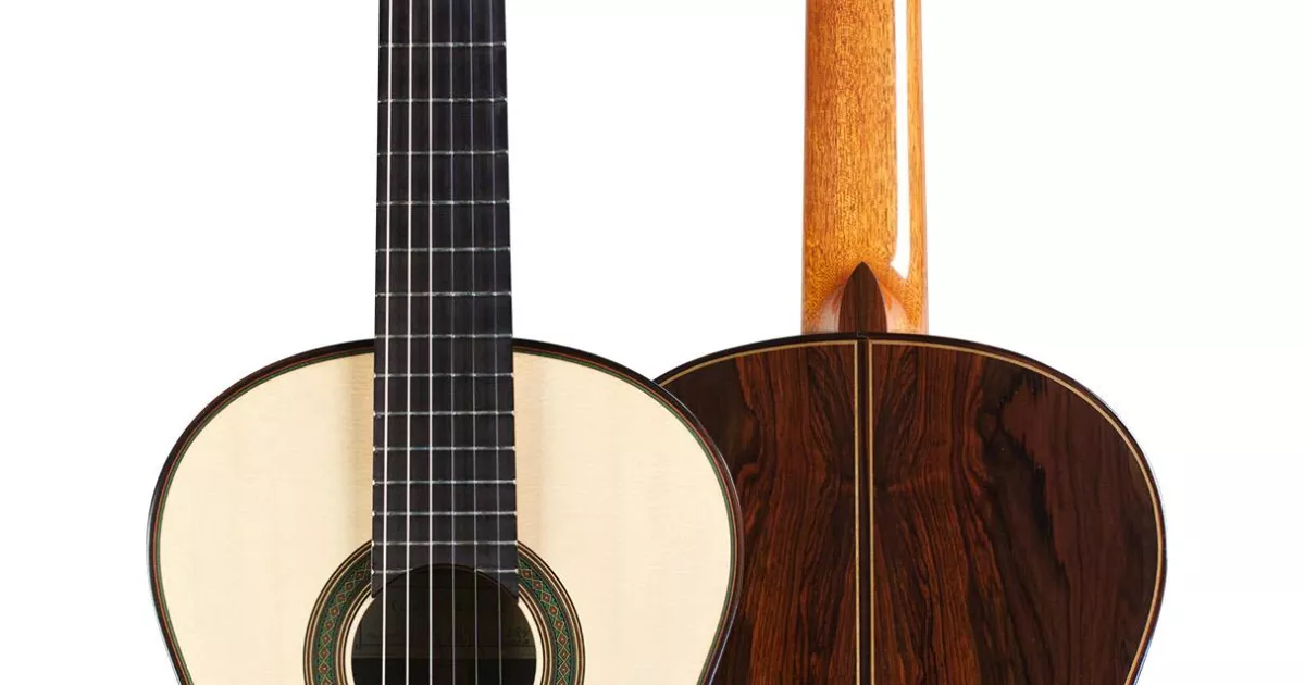 Gernot wagner guitar for sale deals