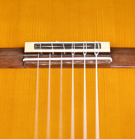 2001 John Weissenrieder "Garcia" SP/CSAR
