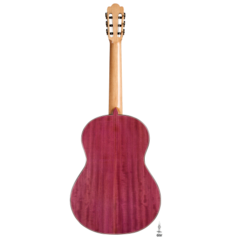 The back of a 2022 Julia Wenzel classical guitar made of cedar and purpleheart wood