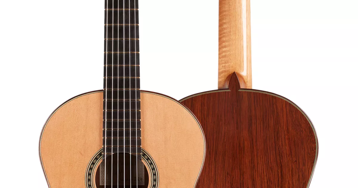 2024 Julia Wenzel CD/AR Guitar | GSI