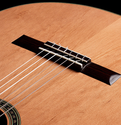 The top and bridge of a 2024 Julia Wenzel classical guitar made of cedar and African rosewood