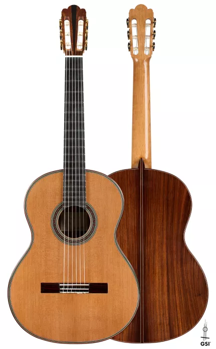 2024 Julia Wenzel CD/AR Guitar | GSI