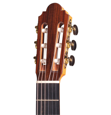 2006 Philip Woodfield "Torres" SP/IN