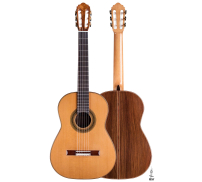 2019 Dominik Wurth CD/IN