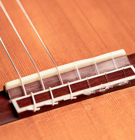 The bridge and saddle of a 2022 Dominik Wurth classical guitar made with cedar and Indian rosewood