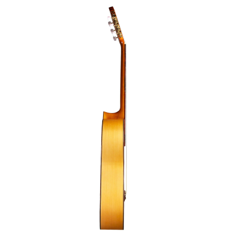 2014 Marlon Navarro Alvarez "Student Flamenco" SP/CY
