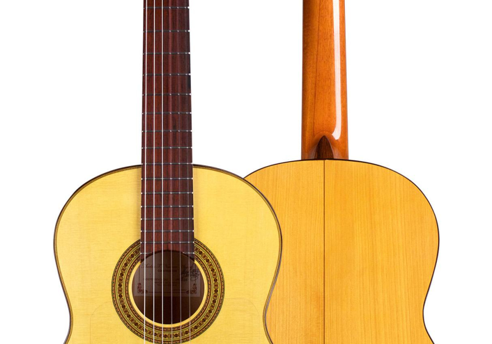 2018 Marlon Navarro Alvarez "Student Flamenco" SP/CY