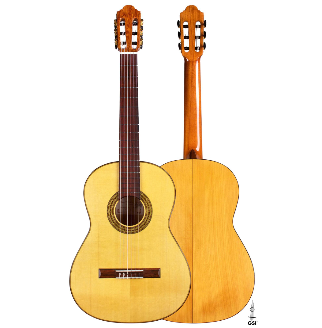 2018 Marlon Navarro Alvarez "Student Flamenco" SP/CY